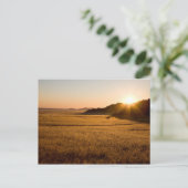 Namib Naukluft Park Postkarte (Stehend Vorderseite)