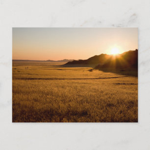 Namib Naukluft Park Postkarte
