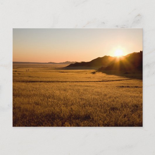 Namib Naukluft Park Postkarte (Vorderseite)