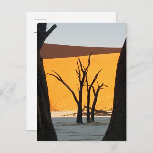 Namib-Naukluft Park, Sossusvlei | Dead Vlei Postkarte (Vorne/Hinten)