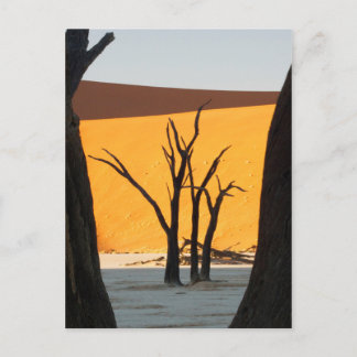 Namib-Naukluft Park, Sossusvlei | Dead Vlei Postkarte
