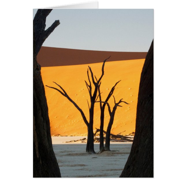 Namib-Naukluft Park, Sossusvlei| Totes Vlei (Vorne)