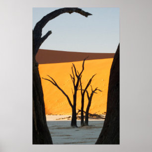 Namib-Naukluft Park, Sossusvlei  Totes Vlei Poster