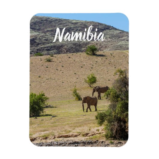 Namibia Africa Huab River Elephant Damaraland Magnet (Vertikal)