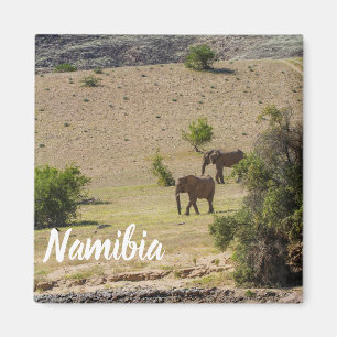 Namibia Africa Huab River Elephant Damaraland Magnet