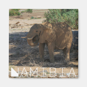 Namibia Africa Huab River Elephant Damaraland Magnet