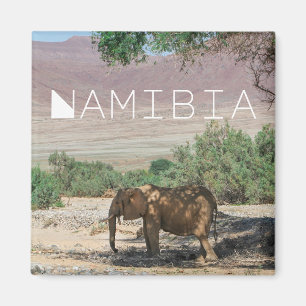 Namibia Africa Huab River Elephant Damaraland Magnet