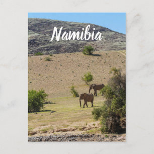 Namibia Africa Huab River Elephant Damaraland Postkarte