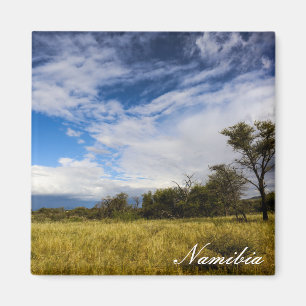 Namibia Africa Landscape Namibian Nature Bushveld Magnet