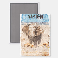 Namibia Africa Wildlife Safari