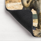 Namibia, Afrika: Baby African Elephant Mousepad (Ecke)