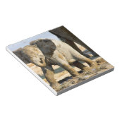 Namibia, Afrika: Baby African Elephant Notizblock (angewinkelt)