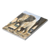Namibia, Afrika: Baby African Elephant Notizblock (Rotiert)