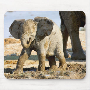 Namibia, Afrika: Baby Afrikanischer Elefant Mousepad