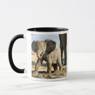 Namibia, Afrika: Baby Afrikanischer Elefant Tasse