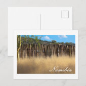 Namibia Afrika Namibia Landschaftsgras Postkarte (Vorne/Hinten)
