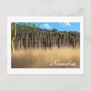 Namibia Afrika Namibia Landschaftsgras Postkarte