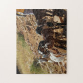 Namibia Afrika Namibische Landschaft Ziegen Puzzle (Vertikal)