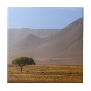 Namibia Afrika Wüstenlandschaft Landschaft Natur Fliese