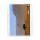 Namibia Afrika Wüstenlandschaft Landschaft Natur Magnet (Vertikal)