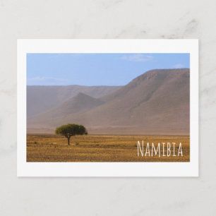 Namibia Afrika Wüstenlandschaft Landschaft Natur Postkarte