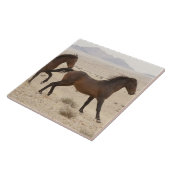 Namibia, Aus. Wilde Pferde, die auf der Namib lauf Fliese (Seite)