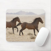 Namibia, Aus. Wilde Pferde, die auf der Namib lauf Mousepad (Mit Mouse)