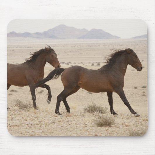 Namibia, Aus. Wilde Pferde, die auf der Namib lauf Mousepad (Vorne)