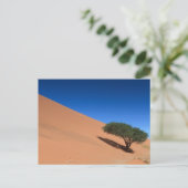 Namibia - Baum bei einer Düne auf der Postkarte vo (Stehend Vorderseite)