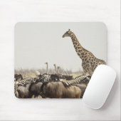 Namibia, Etosha National Park. Eine einsame Giraff Mousepad (Mit Mouse)