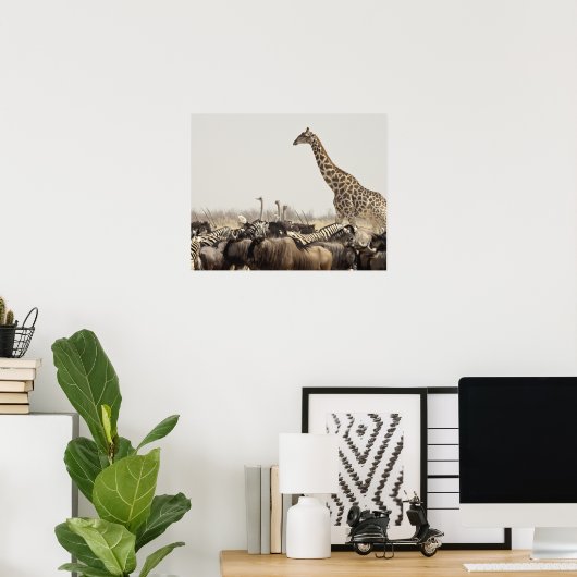 Namibia, Etosha National Park. Eine einsame Giraff Poster (Heimbüro)