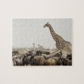 Namibia, Etosha National Park. Eine einsame Giraff Puzzle (Horizontal)