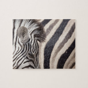 Namibia, Etosha National Park. Einzelheiten zu zwe Puzzle