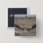 Namibia, Etosha National Park, zwei Männer Button (Vorne & Hinten)