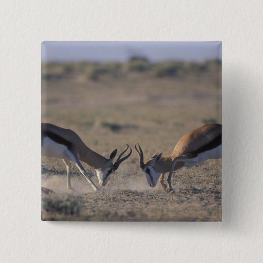 Namibia, Etosha National Park, zwei Männer Button (Vorderseite)