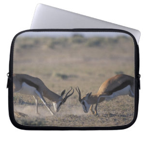 Namibia, Etosha National Park, zwei Männer Laptopschutzhülle