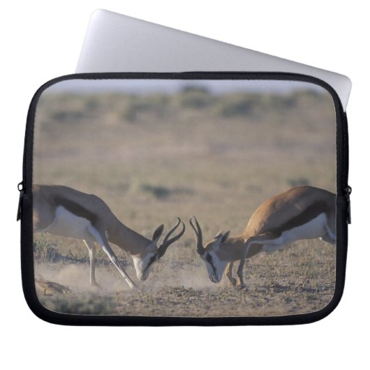 Namibia, Etosha National Park, zwei Männer Laptopschutzhülle (Vorderseite)
