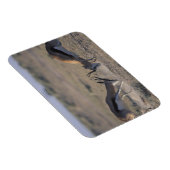 Namibia, Etosha National Park, zwei Männer Magnet (Rechte Seite)