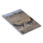 Namibia, Etosha National Park, zwei Männer Notizblock (Rechte Seite)