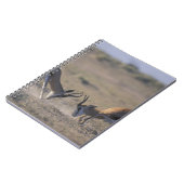 Namibia, Etosha National Park, zwei Männer Notizblock (Linke Seite)