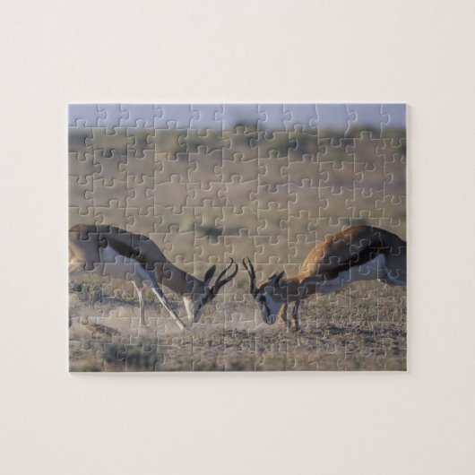 Namibia, Etosha National Park, zwei Männer Puzzle (Horizontal)