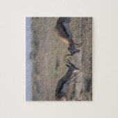 Namibia, Etosha National Park, zwei Männer Puzzle (Vertikal)