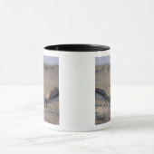 Namibia, Etosha National Park, zwei Männer Tasse (Zentrum)