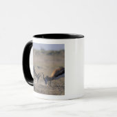 Namibia, Etosha National Park, zwei Männer Tasse (Vorderseite Links)