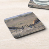 Namibia, Etosha National Park, zwei Männer Untersetzer (Linke Seite)