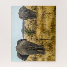 Namibia Jigsaw Puzzle - wilde Elefanten im Gras