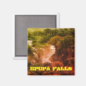 Namibia Kunene River Epupa Falls Landscape Baobabs Magnet (Vorderseite/Rückseite)