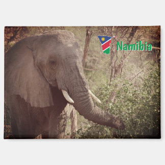 Namibia Magnet