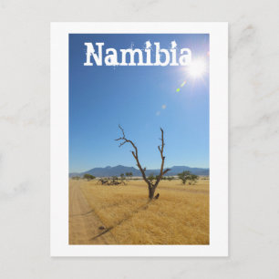 Namibia MarienŌ Savannah Landschaft Postkarte