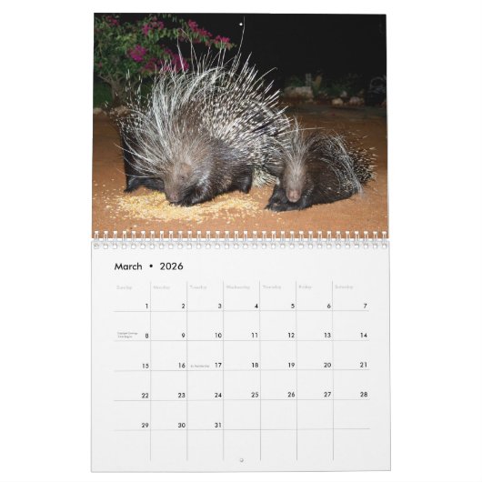 NAMIBIA-Mauerkalender Kalender (Mär 2026)